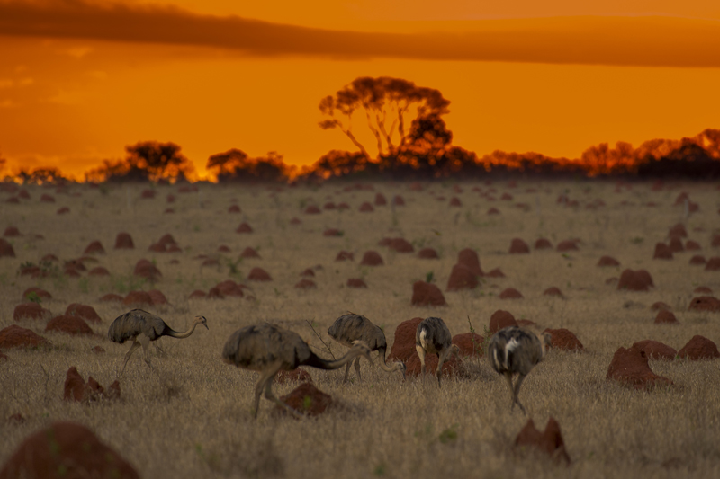Bonito - Photo by Hudson Garcia (33)